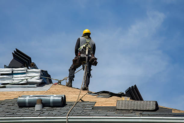 Professional Gutter Installation technician working in Lewisville, ID